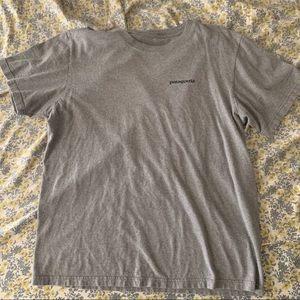 Well Worn Patagonia Tee